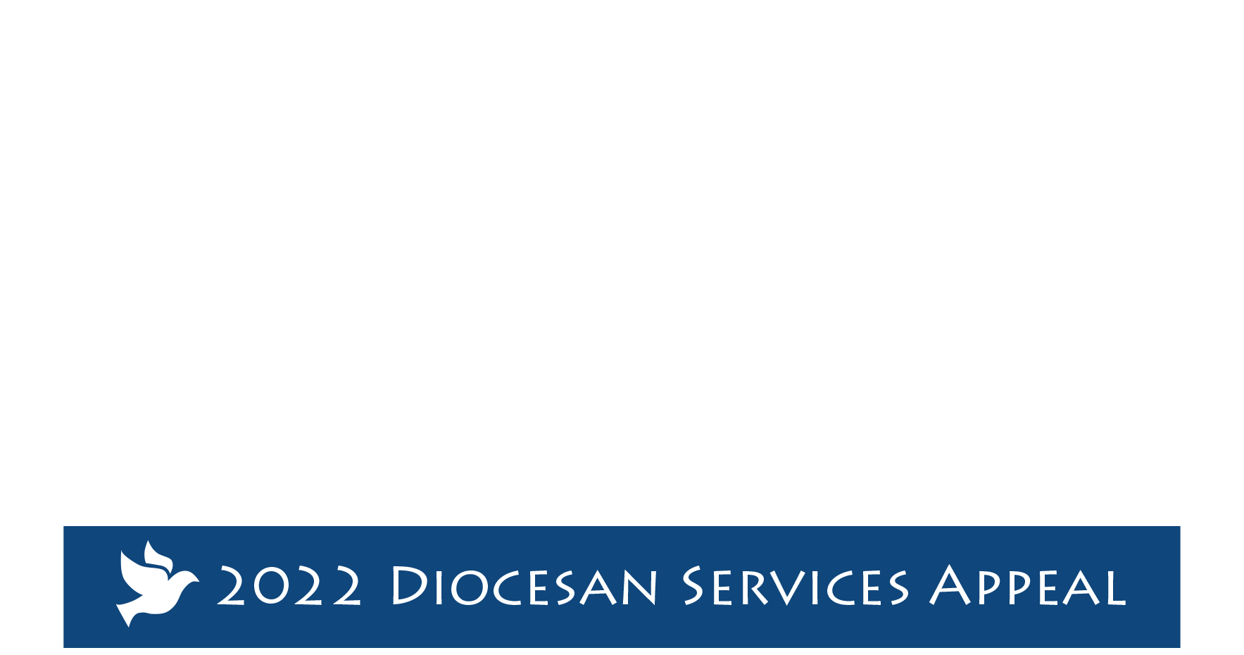 Diocesan Services Appeal 2022