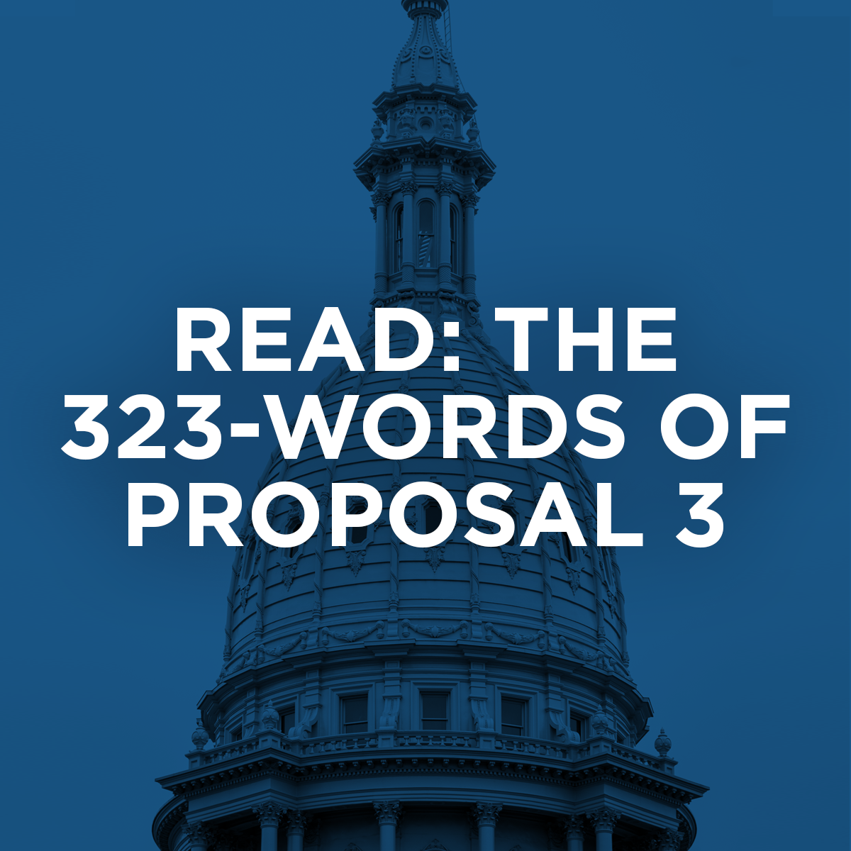 Read in Full: The 323-words of Proposal 3 Amendment