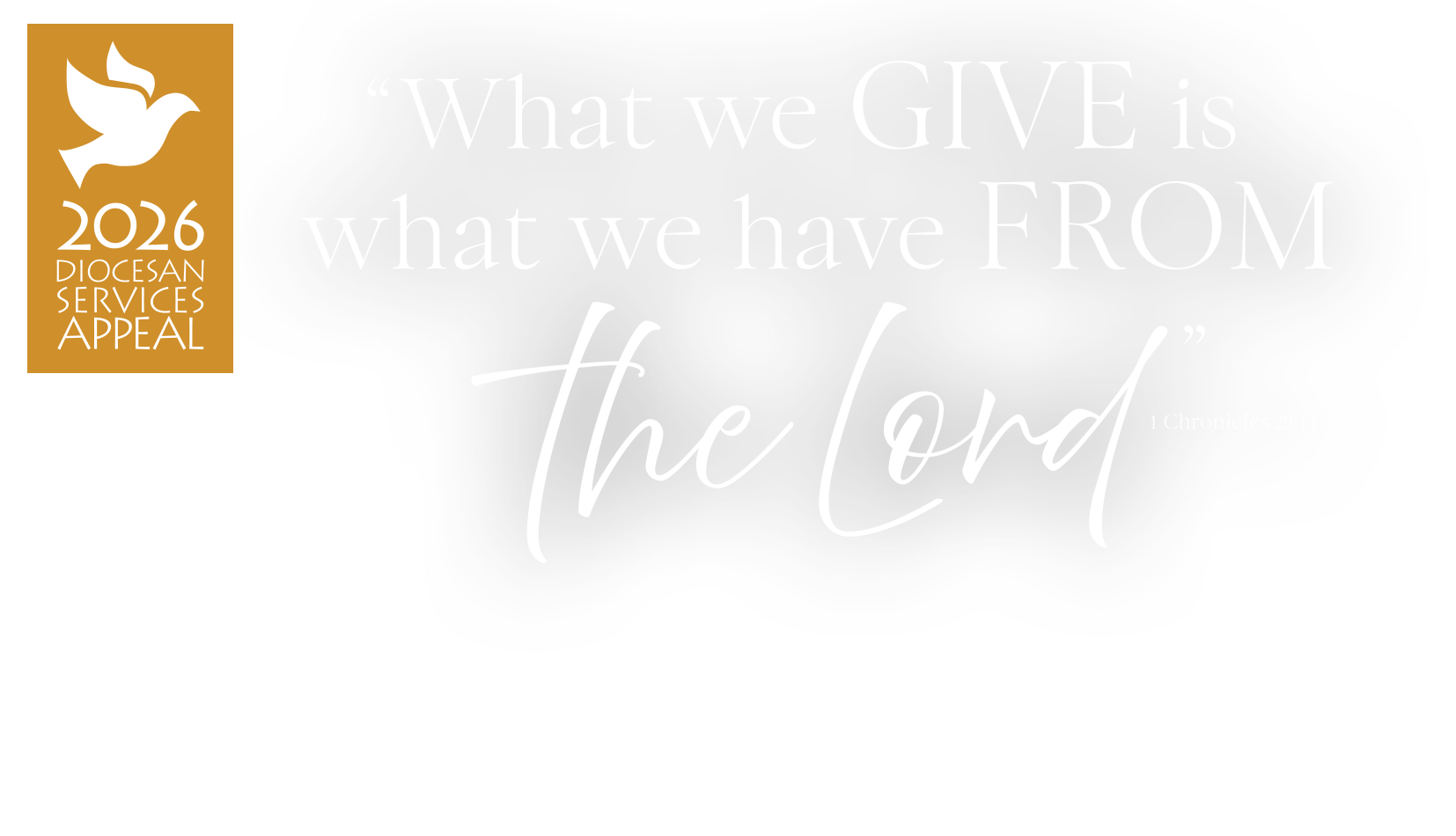 Diocesan Services Appeal