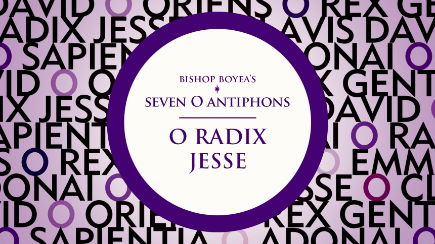 Watch: Bishop Boyea on the Seven "O" Antiphons of Advent: Part 3: O Radix Jesse (O Root of Jesse)
