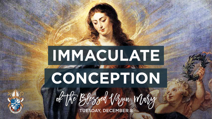 Solemnity of the Immaculate Conception December 8 2020 Diocese