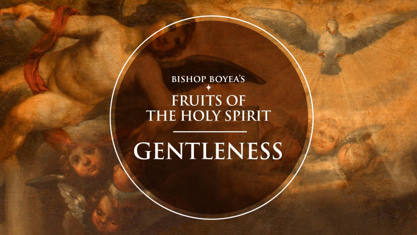 Watch: Gentleness | A Fruit of the Holy Spirit | Pentecost Novena w/ Bishop Boyea