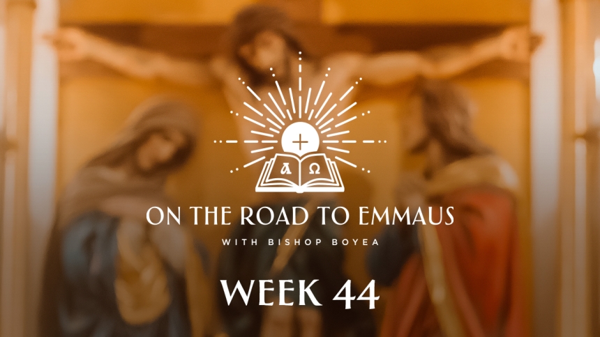 Week 44 RTE
