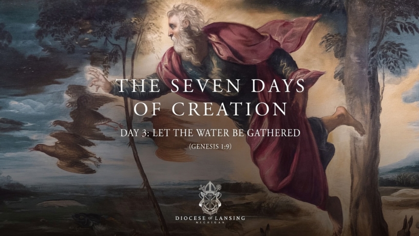Creation Day 3