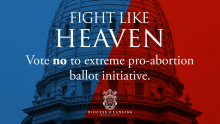 Fight Like Heaven 