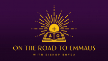 A Request from Bishop Boyea: Stories of the Holy Eucharist and You! 