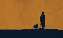 Healing in the Twilight