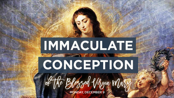 Solemnity of Immaculate Conception