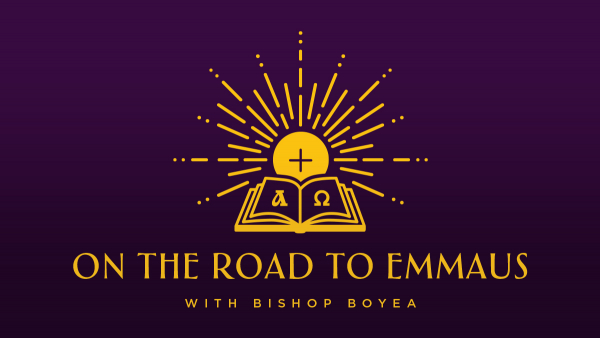 A Request from Bishop Boyea: Stories of the Holy Eucharist and You! 