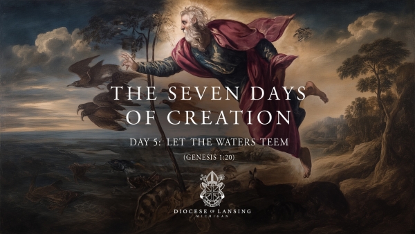 Days of Creation 5