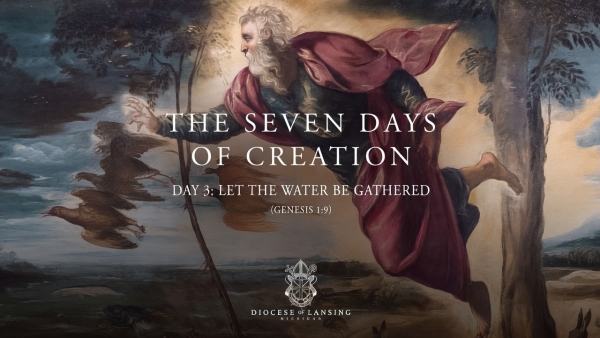 Creation Day 3
