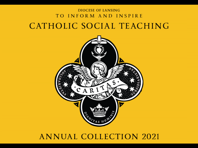 Catholic Social Teaching Collection 2021