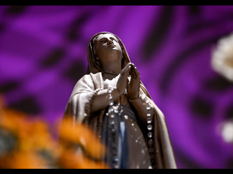 Read Michigan Catholic Women