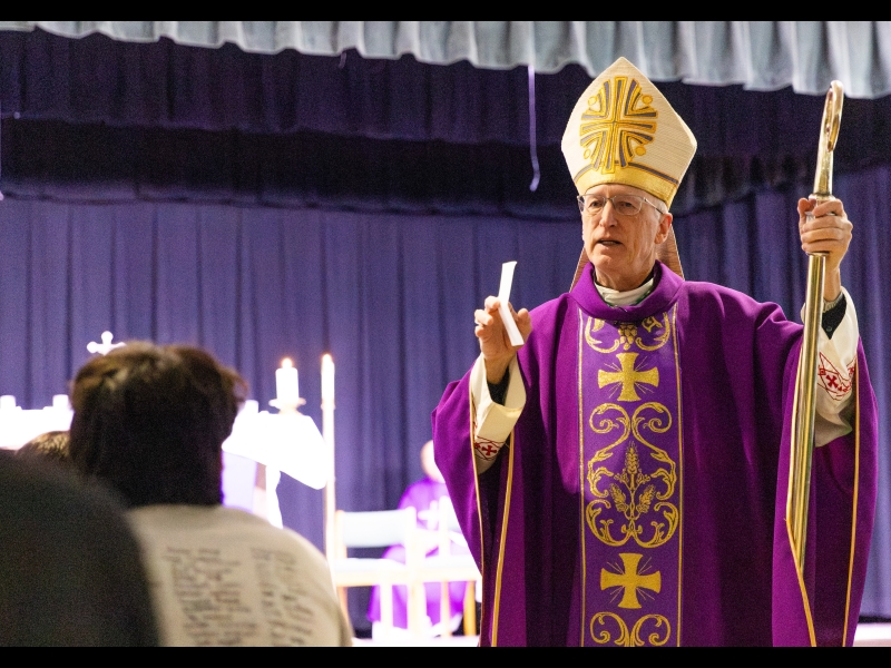 Stephen Rajzer installed