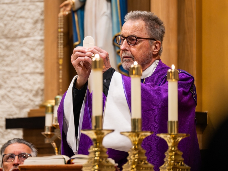 New History Curriculum