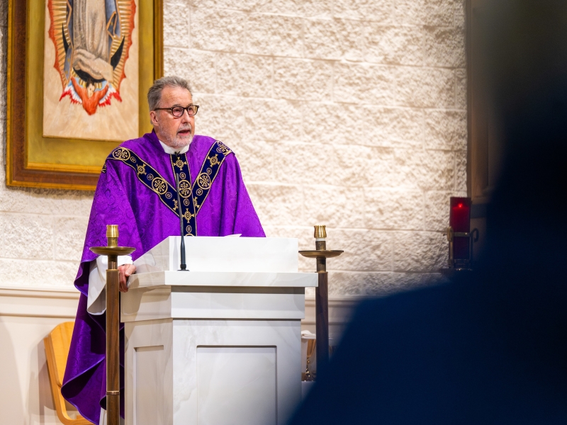 New History Curriculum