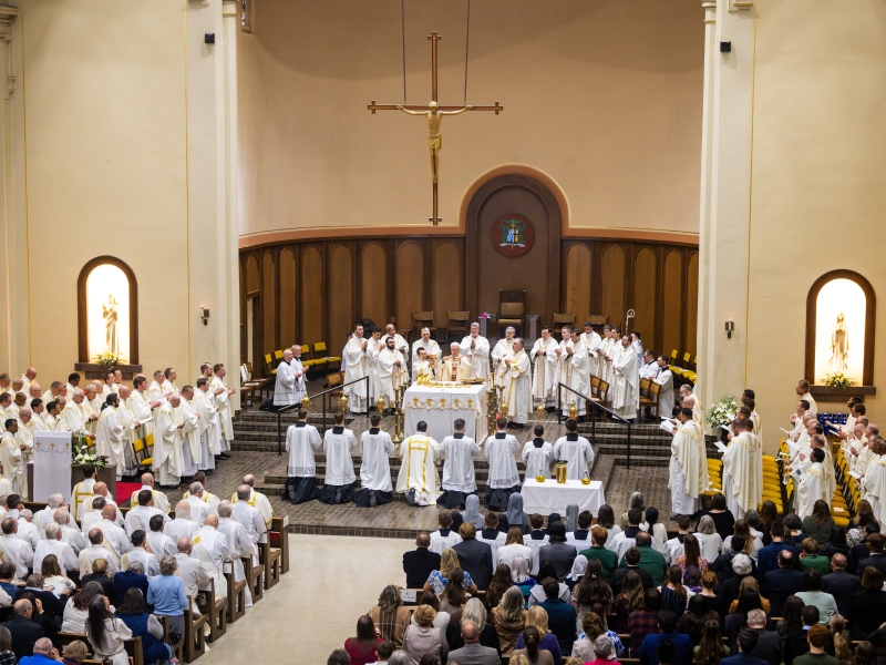 Chrism Mass 2026