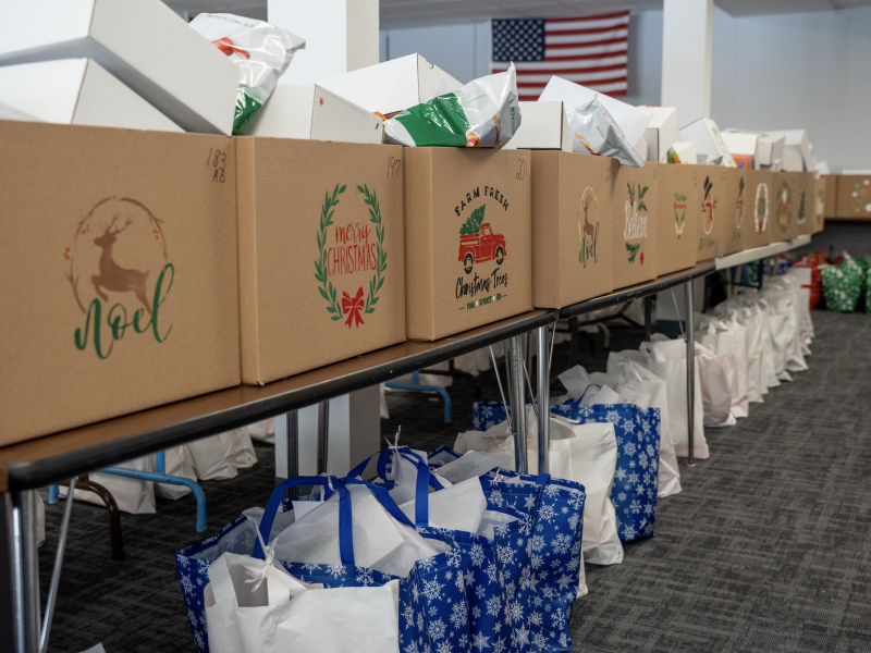 DSA Serving Seniors in Livingston County